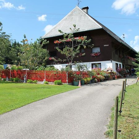 Ferienwohnung Schwarzwaldhof Titisee-Neustadt Luaran gambar
