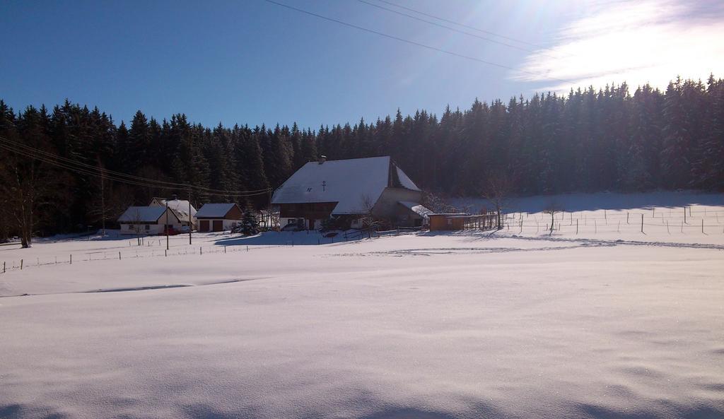 Ferienwohnung Schwarzwaldhof Titisee-Neustadt Luaran gambar