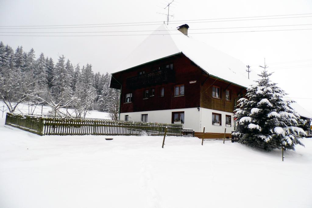 Ferienwohnung Schwarzwaldhof Titisee-Neustadt Luaran gambar