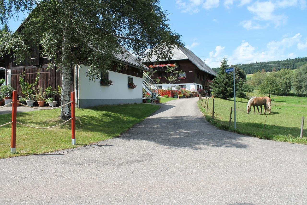 Ferienwohnung Schwarzwaldhof Titisee-Neustadt Luaran gambar